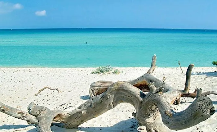 Zen Апартаменты